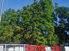 -上海长兴岛郊野公园