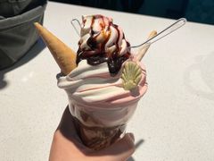-海合安青岛极地海洋公园
