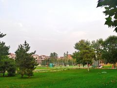 景点-固安志愿公园