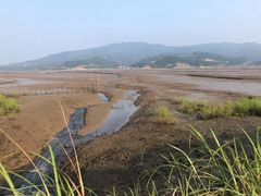 -北岐滩涂