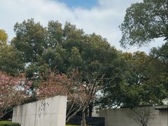 -九里云松·天香餐厅