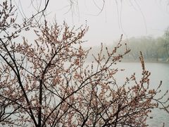 -颐和园