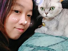 -李小姐の猫咖啡馆(五角场店)