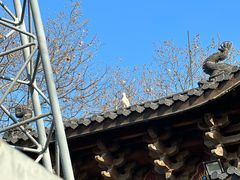 -灵顺寺