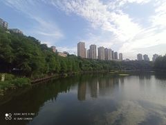 -重庆彩云湖湿地公园