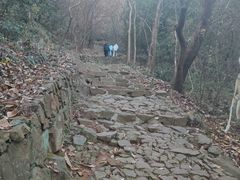 -缥缈峰景区