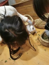 -萌哆哆·宠物乐园(福清店)