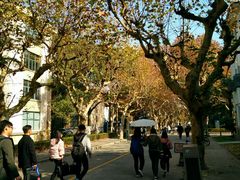 场地-华东理工大学·停车场