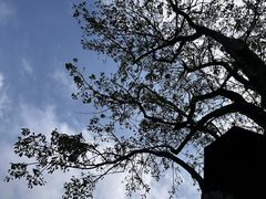 -白石龙音乐公园
