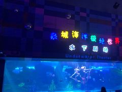 -泉城欧乐堡海洋极地世界