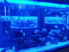 -上和臻品中国菜(花园街店)