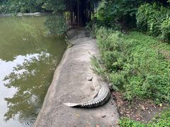 -广州长隆飞鸟乐园