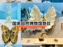 -国家自然博物馆