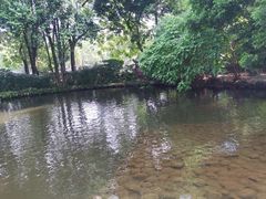 -成都市活水公园