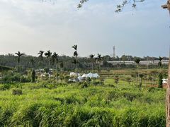 -侯臣咖啡文化村