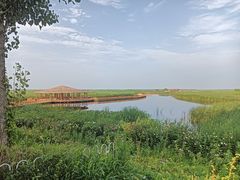 -白洋淀风景区