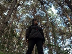 -铁山坪森林公园