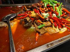 -探鱼·鲜青椒爽麻烤鱼(广州花都来又来店)