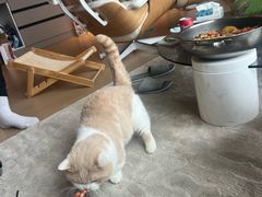 -张翻越·川渝冒菜·武汉黑鸭煲(城北万象城店)