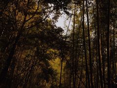 -鸡枕山