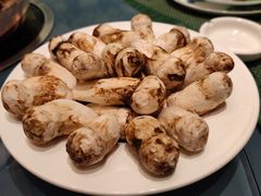 -滇菌王·野生菌山宴(宝海店)