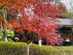 -庐山天沐温泉度假村