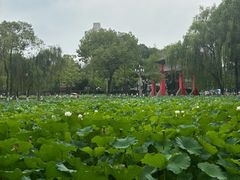 -四川大学(望江校区)