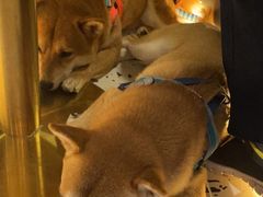 -粤小馆(天安云谷店)
