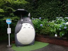 -伊豆泰迪熊博物馆