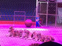 -西安秦岭野生动物园