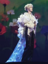 点击看大图 -MuseMarry婚纱(前海嘉里中心店)