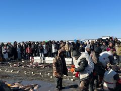 -卧龙湖