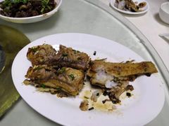 干煎马头鱼-阳江餐厅·30年老字号·粤菜海鲜大排档