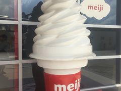 -明治雪糕（广州）有限公司