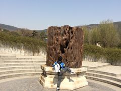 -北京植物园-展览温室