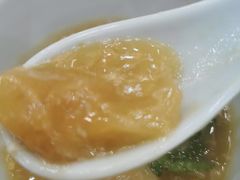 -大中鱼翅 Taitong Shark Fin