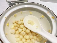 桂花鸡头米-江南雅厨(李公堤店)
