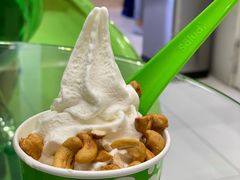 -Salud撒露欧洲冻酸奶(蓝色港湾店)