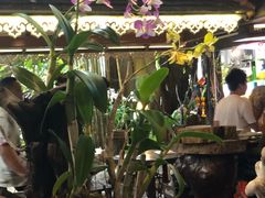 -自然餐厅(Phuket)