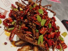 -鼎原力量东北吊炉烧烤(幸福街店)