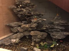 -固元堂(摩方分院)