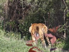 -沈阳森林动物园