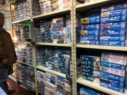 -新时模型(新街口店)