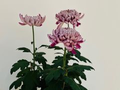 -汇龙潭