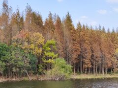 -上海市保健医疗中心