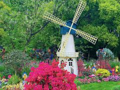 -上海共青森林公园