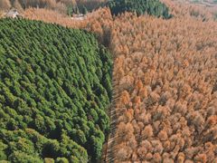 -山王坪喀斯特国家生态公园