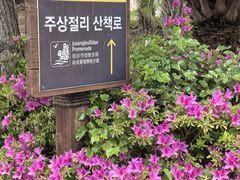 -柱状节理带