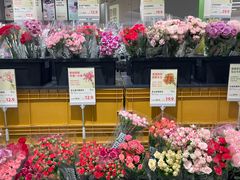 -鹿岛生活(熙地港店)