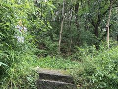 -吴山景区
